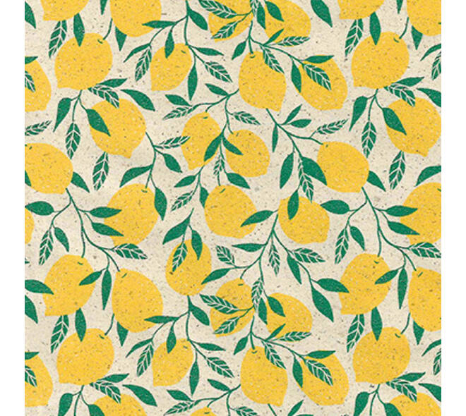 Apparaatrol Little Lemon 50cmx200m