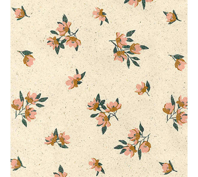 Inpakpapier Rotolux Rosie 200x70cm assorti