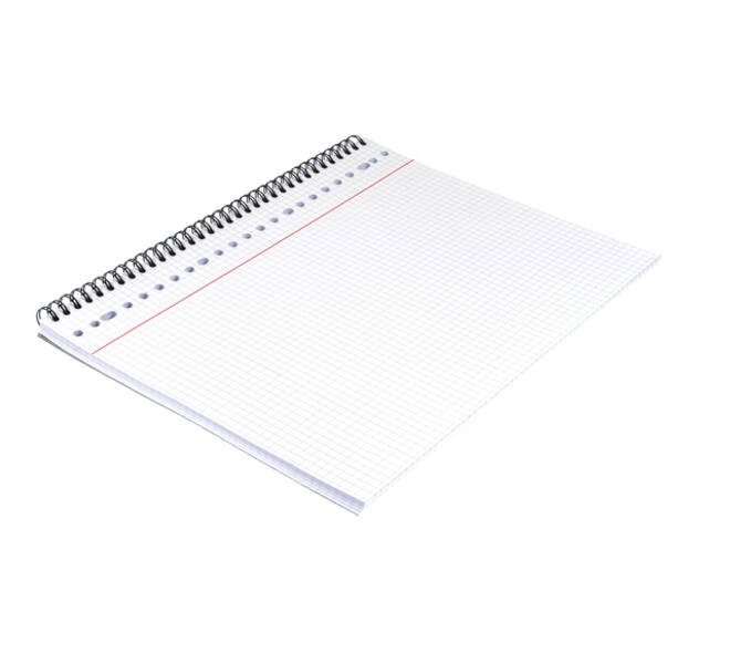 Collegeblok Multo A4 ruit  5mm 23 gaats 160 pagina's 90 gram