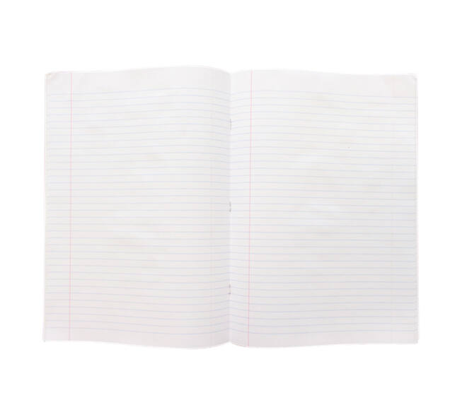 Schrift Kangaro A4 lijn 80 pagina's 60gr assorti pak à 5 stuks