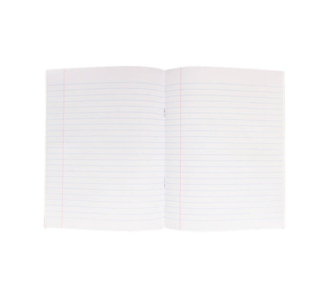 Schrift Kangaro A5 lijn 80 pagina's 60gr assorti pak à 10 stuks