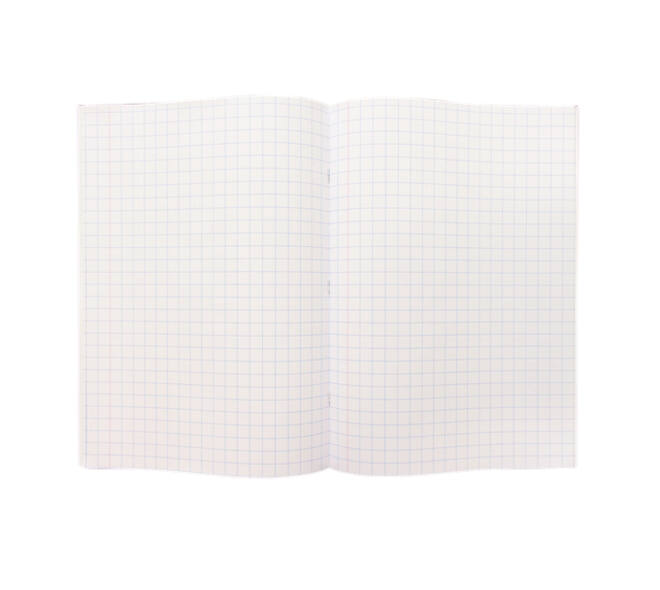 Schrift Kangaro A4 ruit 10mm 80 pagina's 60gr assorti pak  à 5 stuks