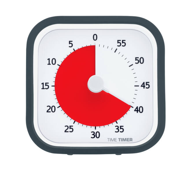 Time Timer MOD home
