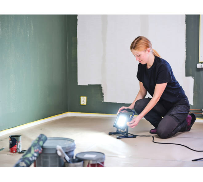 Werklamp Rapid The Painter+ met snoer