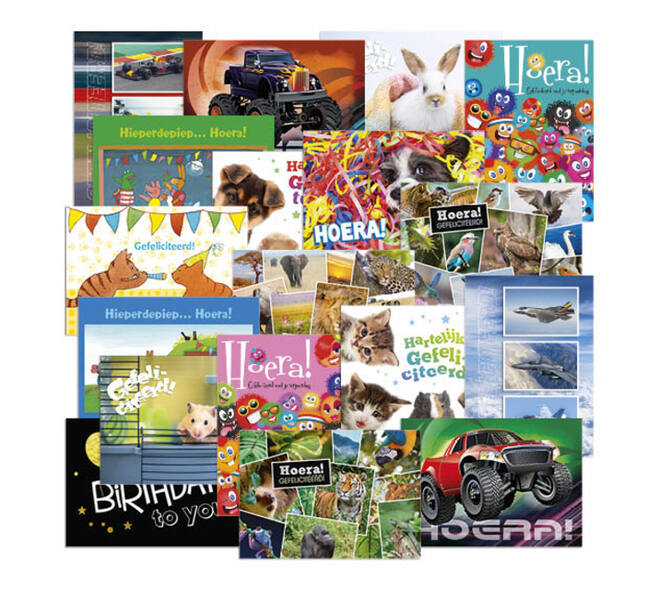 Beloningsposter-kaart De Stulp thema felicitatie A4 assorti