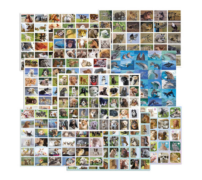 Belongingsstickermix De Stulp thema dieren assorti