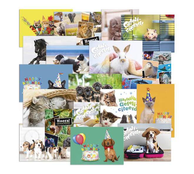 Beloningsposter-kaart De Stulp  thema dieren A4 assorti