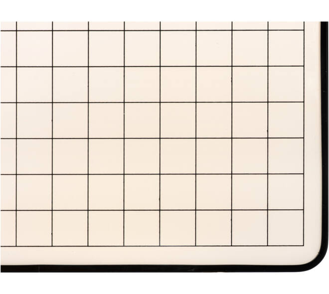 Wisbord Legamaster emaille staal geruit + blanco