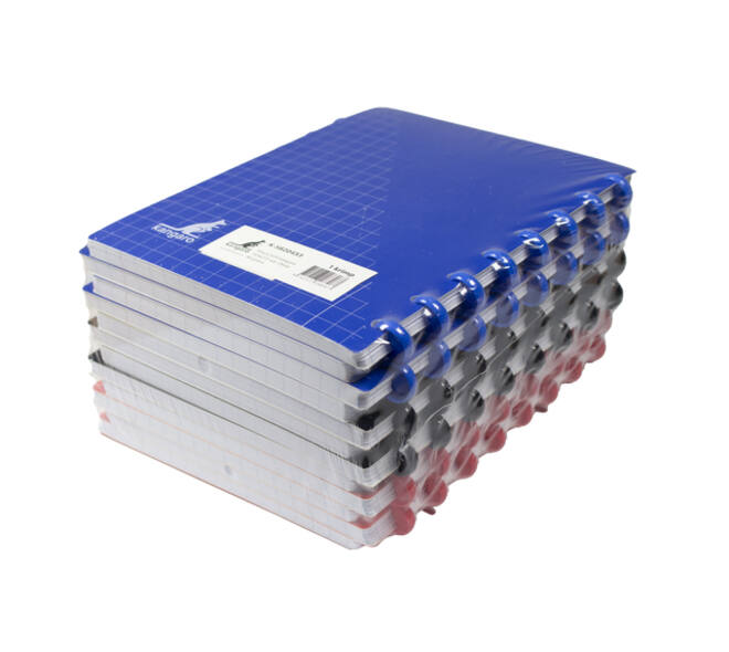 Schrift Kangaro 169x213mm ruit 10mm 144pag 90g ass 3 kleur krimp 12st