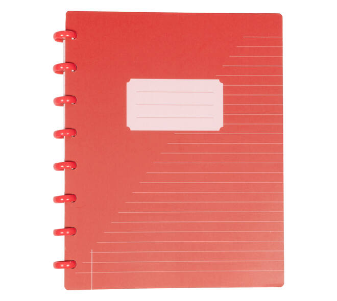 Schrift Kangaro 169x213mm lijn 144pag 90g ass 3 kleur krimp 12st