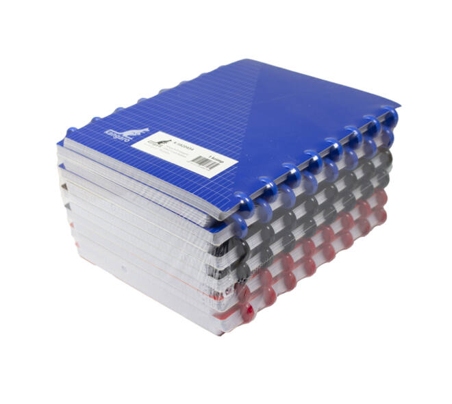 Schrift Kangaro 169x213mm ruit 4x8mm 144pag 90g ass 3 kleur krimp 12st