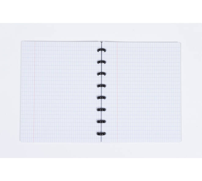 Schrift Kangaro 169x213mm ruit 4x8mm 144pag 90g ass 3 kleur krimp 12st