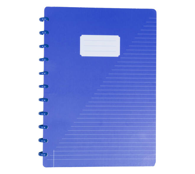 Schrift Kangaro A4 lijn 144pag 90g assorti 3 kleuren