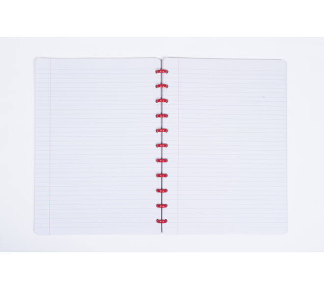 Schrift Kangaro A4 lijn 144pag 90g assorti 3 kleuren
