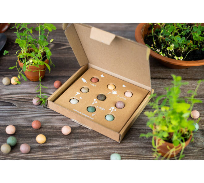 Giftbox Blossombs wilde bloemzaden box à 9 zaadbommetjes