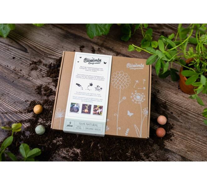 Giftbox Blossombs wilde bloemzaden box à 9 zaadbommetjes