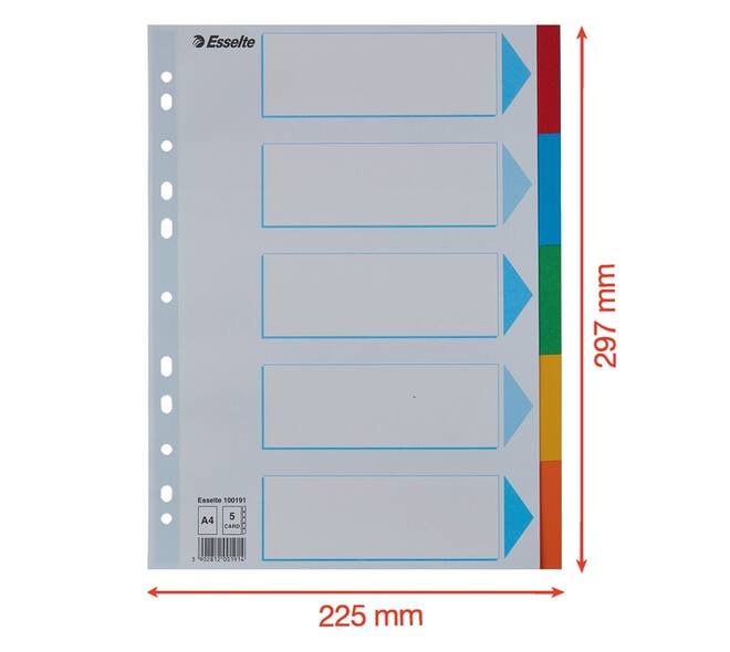 Tabbladen Esselte Standaard A4 5-delig karton 11-rings met voorblad assorti