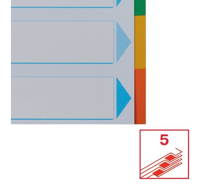 Tabbladen Esselte Standaard A4 5-delig karton 11-rings met voorblad assorti