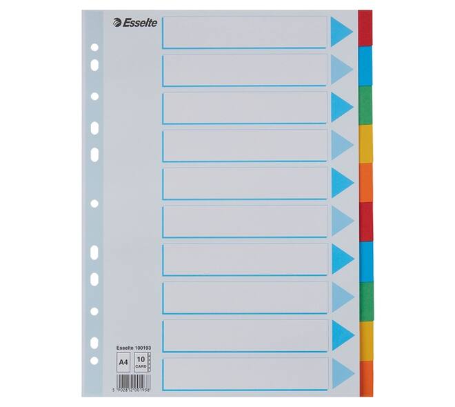 Tabbladen Esselte Standaard A4 10-delig karton 11-rings met voorblad assorti