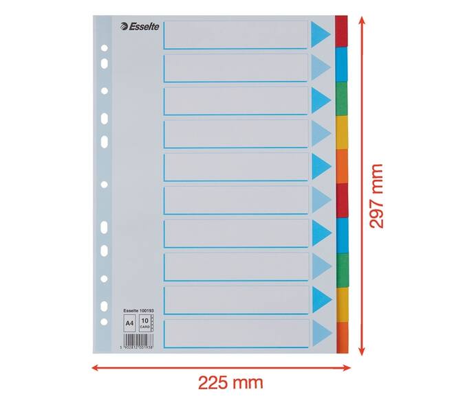 Tabbladen Esselte Standaard A4 10-delig karton 11-rings met voorblad assorti