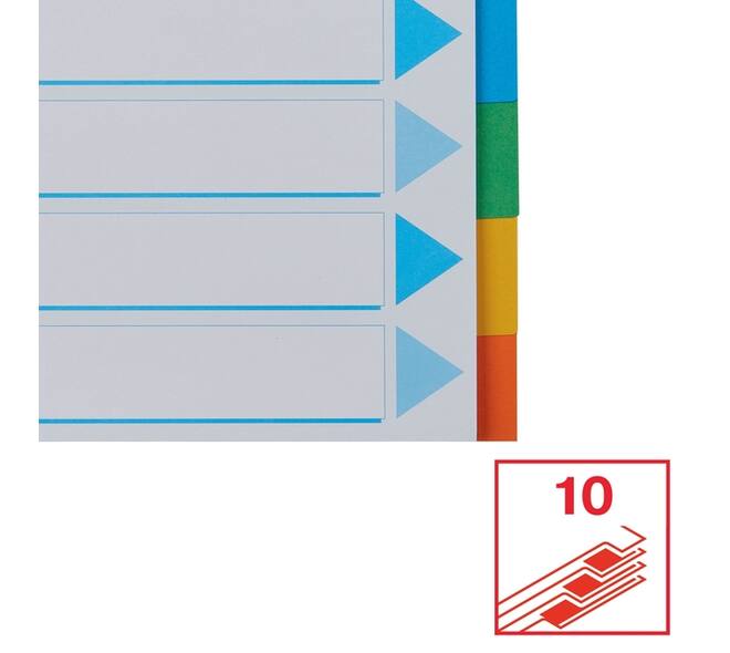Tabbladen Esselte Standaard A4 10-delig karton 11-rings met voorblad assorti