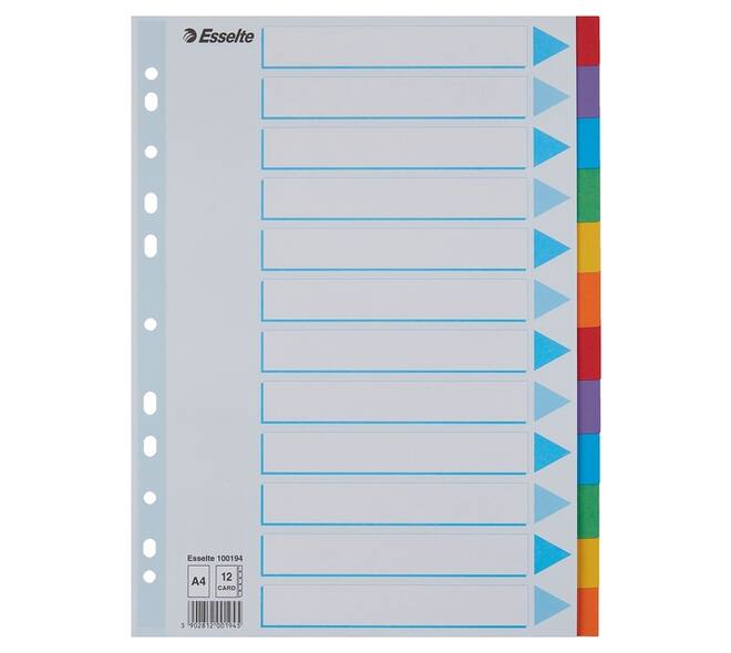 Tabbladen Esselte Standaard A4 12-delig karton 11-rings met voorblad assorti