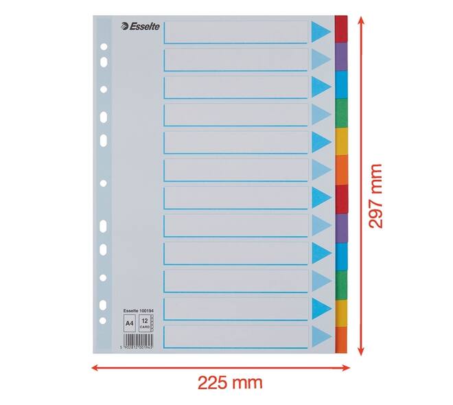 Tabbladen Esselte Standaard A4 12-delig karton 11-rings met voorblad assorti