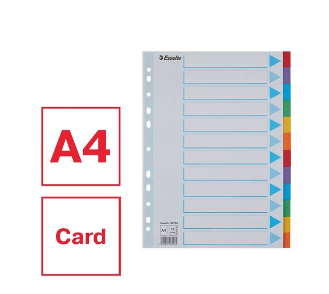 Tabbladen Esselte Standaard A4 12-delig karton 11-rings met voorblad assorti