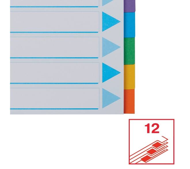 Tabbladen Esselte Standaard A4 12-delig karton 11-rings met voorblad assorti