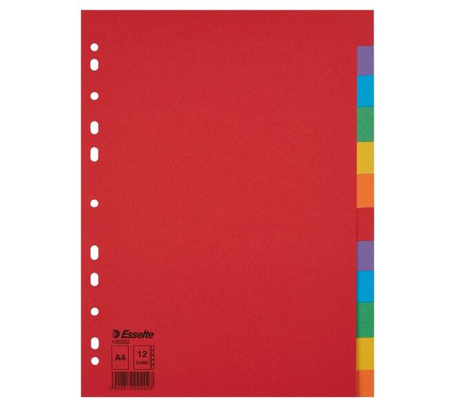 Tabbladen Esselte Economy A4 12-delig karton 11-rings assorti