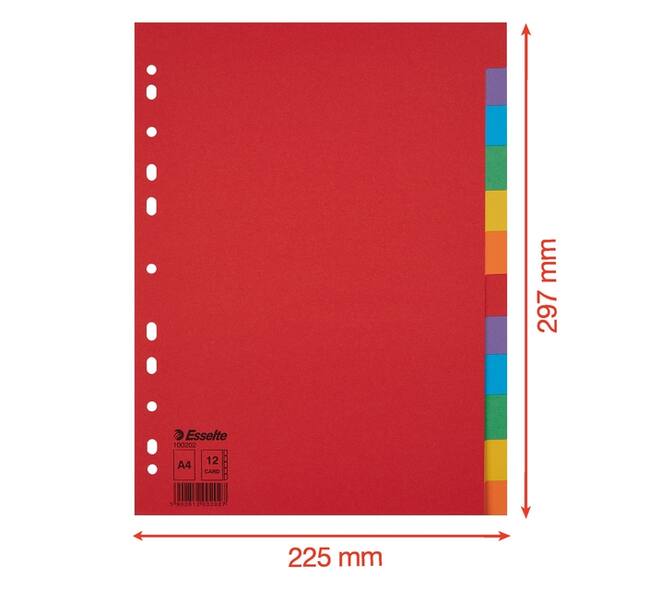Tabbladen Esselte Economy A4 12-delig karton 11-rings assorti