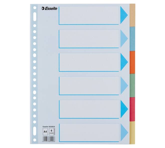 Tabbladen Esselte Premium A4 6-delig karton 23-rings assorti