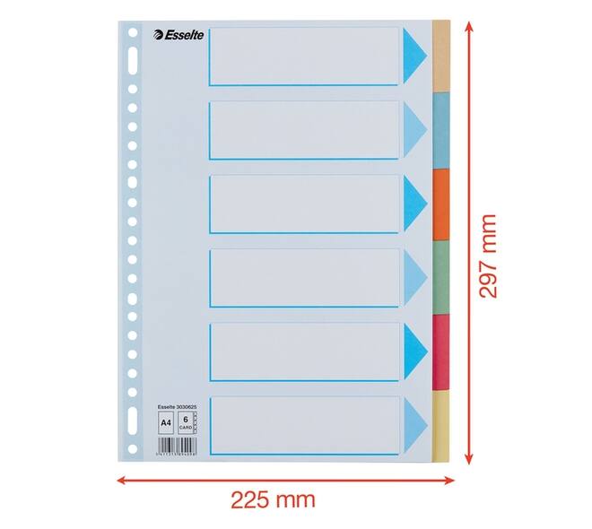 Tabbladen Esselte Premium A4 6-delig karton 23-rings assorti
