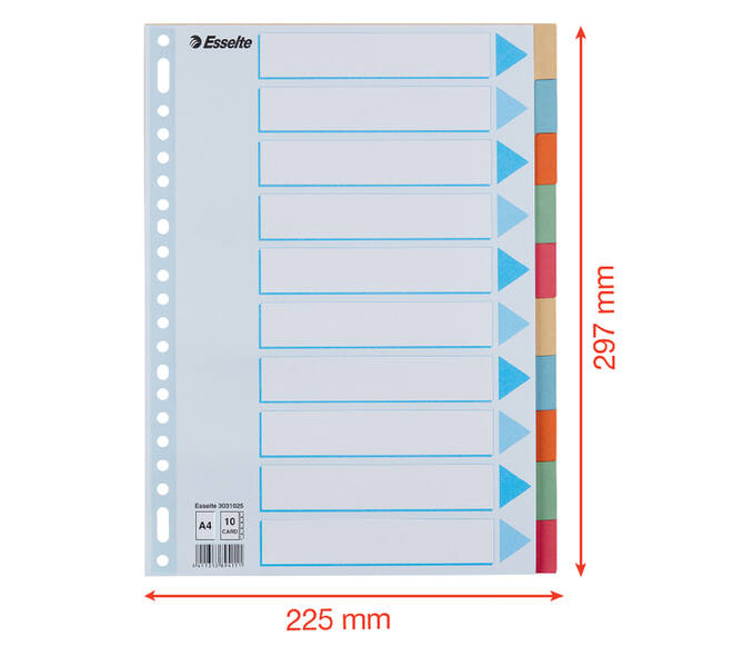 Tabbladen Esselte Premium A4 10-delig karton 23-rings assorti