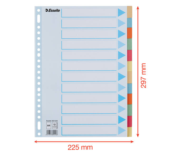 Tabbladen Esselte Premium A4 12-delig karton 23-rings assorti