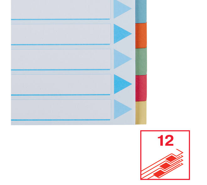 Tabbladen Esselte Premium A4 12-delig karton 23-rings assorti