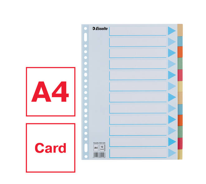 Tabbladen Esselte Premium A4 12-delig karton 23-rings assorti