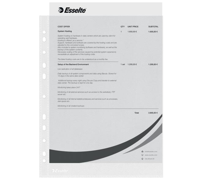 Showtas Esselte Economy copy safe 0.05mm PP A4 100 stuks