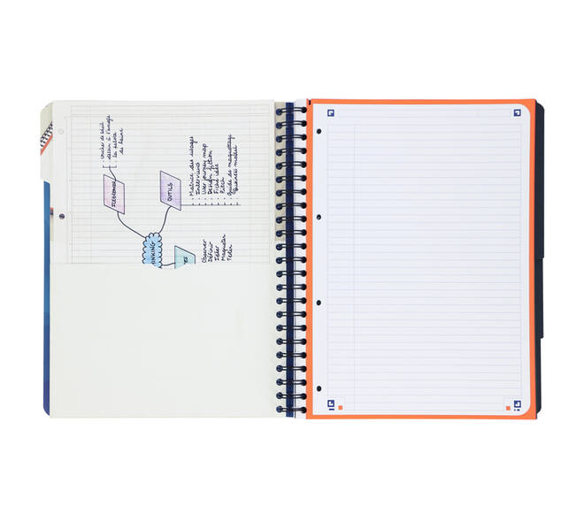 Projectboek Oxford School A4+ lijn 4-gaats 240 pagina's 80gr blauw