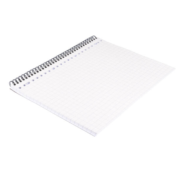 Collegeblok Multo A4 ruit 10x10mm 23-gaats 160 pagina's 80gr wit