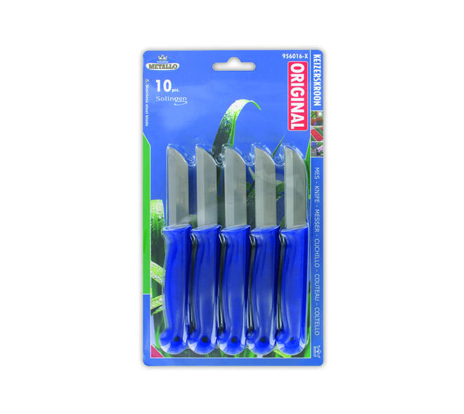 Schilmes rvs blauw (10)