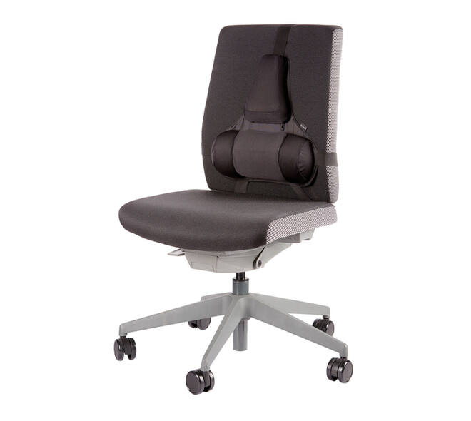 Rugsteun Fellowes Pro Ultieme