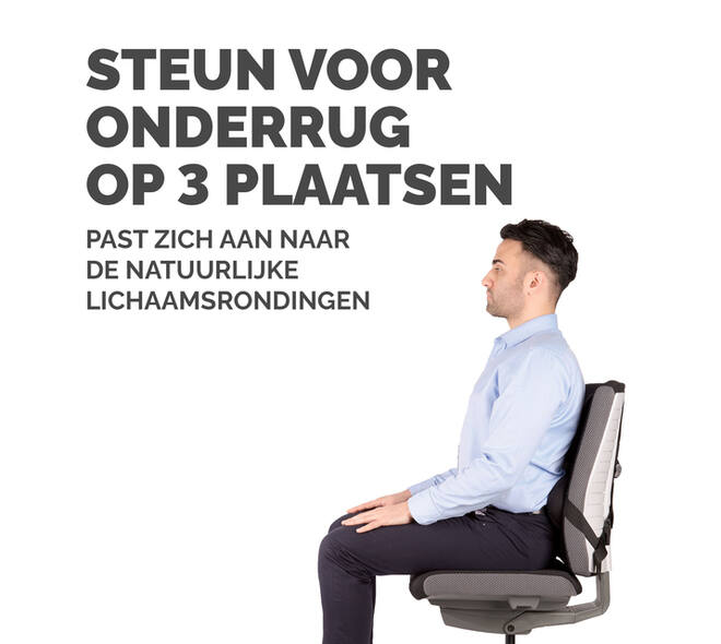 Rugsteun Fellowes Pro Ultieme
