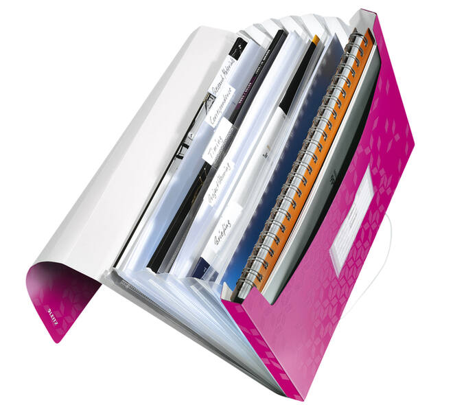 Projectmap Leitz WOW voor A4 6 vaks PP roze