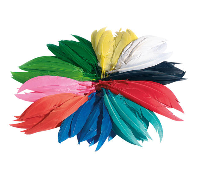 Indianen veren Folia assorti