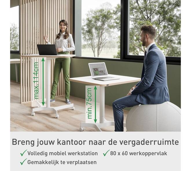 Zit-sta bureau Leitz Ergo compact wielen