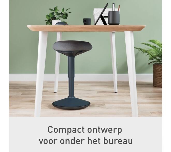 Actieve zitkruk Leitz Ergo met gasveer 47-64cm