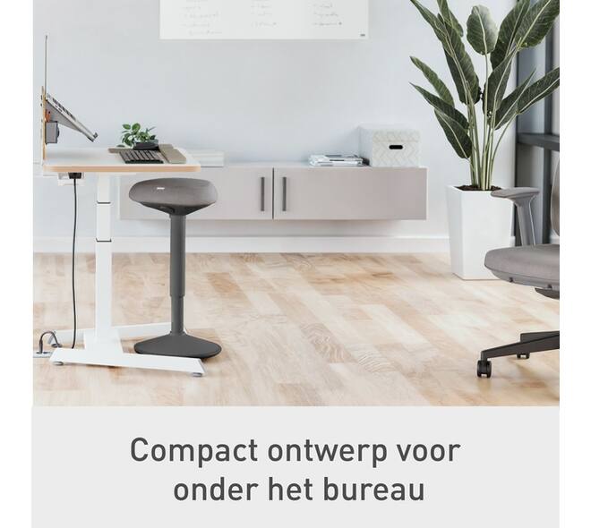 Actieve zit-stakruk Leitz Ergo met gasveer 57-82cm zwart