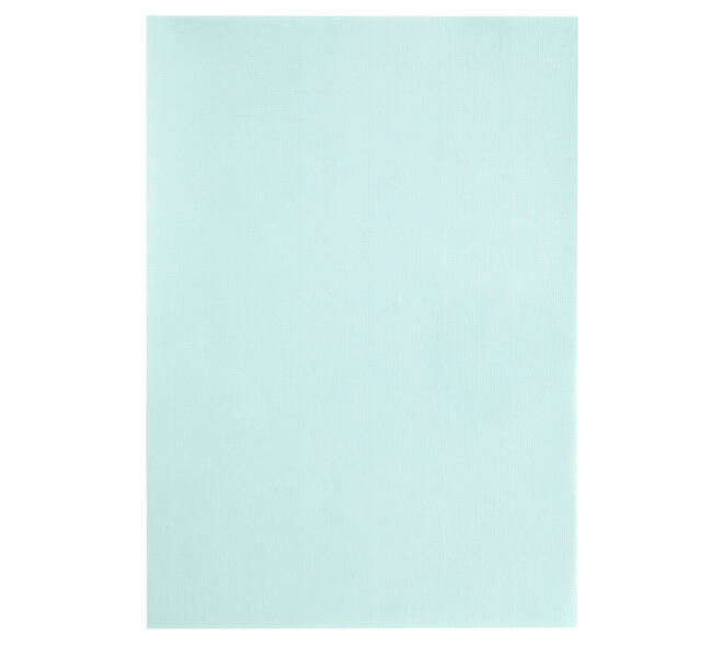 Kopieerpapier Papicolor A4 100gr 12 vel zeegroen