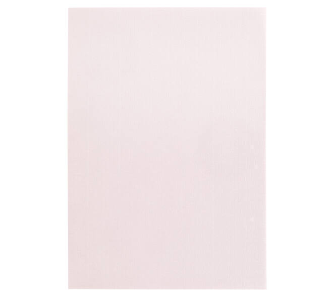 Kopieerpapier Papicolor A4 100gr 12 vel lichtroze